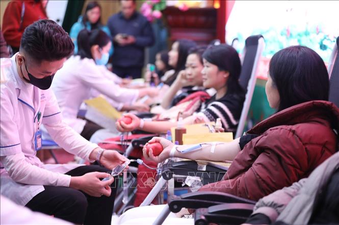 Các tình nguyện viên tham gia hiến máu tại Ngày hội. Ảnh: Anh Tuấn - TTXVN 