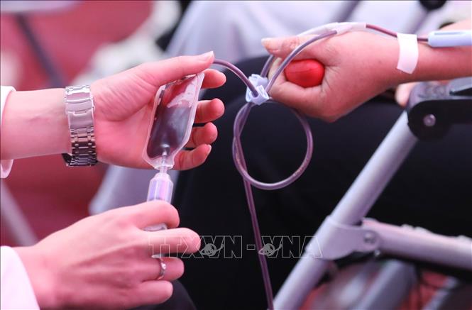 Ban tổ chức đã tiếp nhận được hơn 300 đơn vị máu được hiến tại Ngày hội. Ảnh: Anh Tuấn - TTXVN 