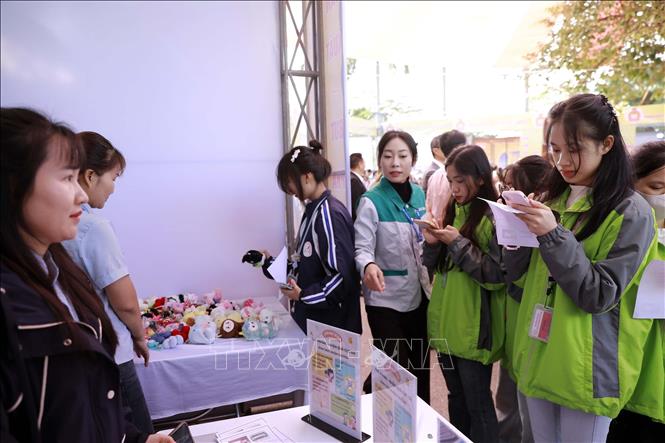 Sinh viên tìm kiếm cơ hội việc làm tại một gian hàng. Ảnh: Nguyễn Thảo -TTXVN