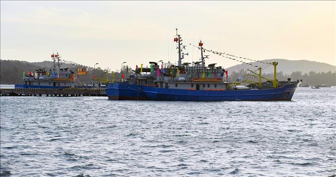 Các tàu Hải Đội dân quân thường trực tỉnh An Giang tham gia hội thi.
Ảnh: TTXVN phát