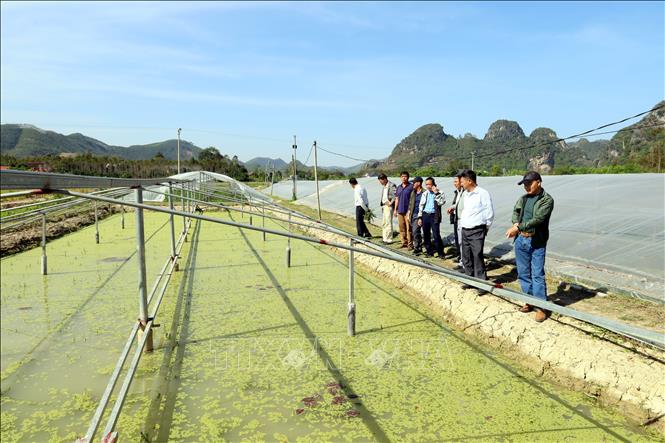 Đoàn công tác của Trung tâm Khuyến nông quốc gia tham quan mô hình nuôi ốc nhồi thương phẩm tại xã Thiện Tân, tỉnh Lạng Sơn. Ảnh: Văn Đạt - TTXVN