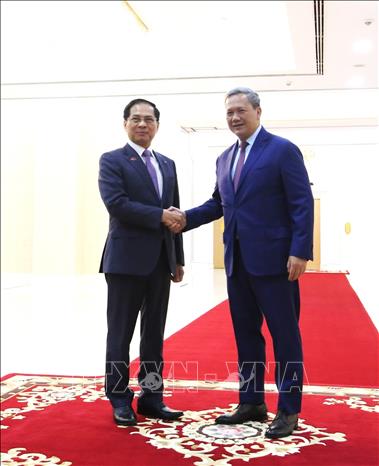 Deputy Prime Minister Bui Thanh Son meets with Prime Minister of Cambodia Samdech Thipadei Hun Manet. VNA Photo: Huỳnh Thảo
