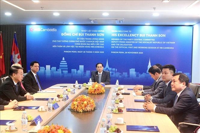 Deputy Prime Minister Bui Thanh Son visits MB Cambodia. VNA Photo
