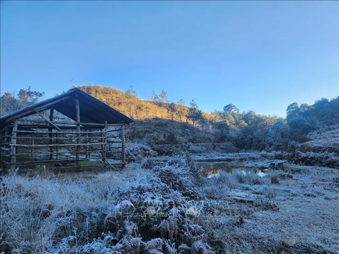 Băng giá phủ trắng bản làng người Y Tý . Ảnh: Hương Thu - TTXVN