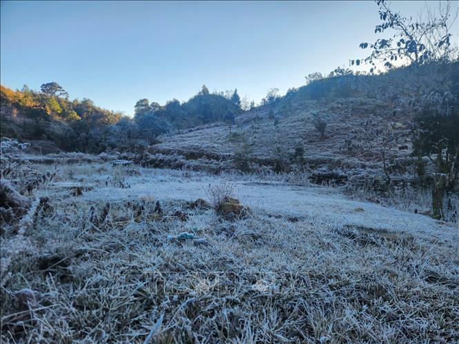 Băng giá phủ trắng núi đồi xã vùng cao Yy Tý. Ảnh: Hương Thu - TTXVN