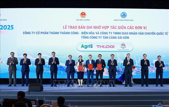 Thủ tướng Phạm Minh Chính chứng kiến Lễ trao Bản ghi nhớ hợp tác giữa các đơn vị. Ảnh: Dương Giang-TTXVN 
