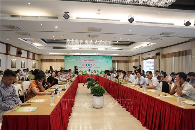 Toàn cảnh hội thảo. Ảnh: Hoàng Nhị - TTXVN.