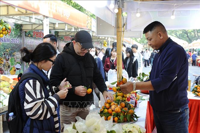 Nhiều người dân Thủ đô và du khách quốc tế đến tham quan, mua sắm tại phiên chợ cam Hưng Yên. Ảnh Mạnh Khánh-TTXVN