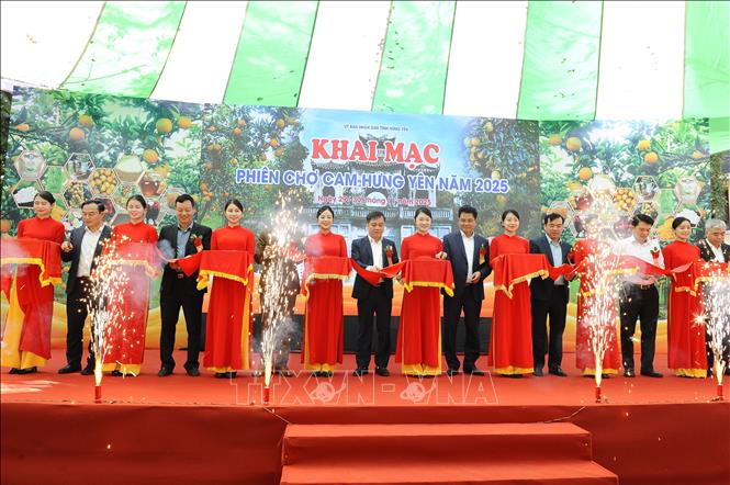Các đại biểu thực hiện nghi thức cắt băng khai trương phiên chợ cam năm Hưng Yên năm 2025. Ảnh Mạnh Khánh-TTXVN. 