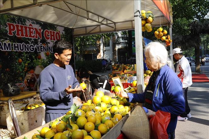 Người dân tham quan, mua sắm tại gian trưng bày cam Hưng Yên. Ảnh Mạnh Khánh-TTXVN
