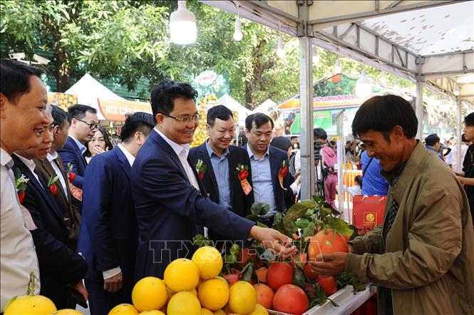 Ông Lê Quang Hòa (giữa), Phó Chủ tịch UBND tỉnh Hưng Yên tham quan gian trưng bày cam và các nông sản của tỉnh. Ảnh Mạnh Khánh-TTXVN