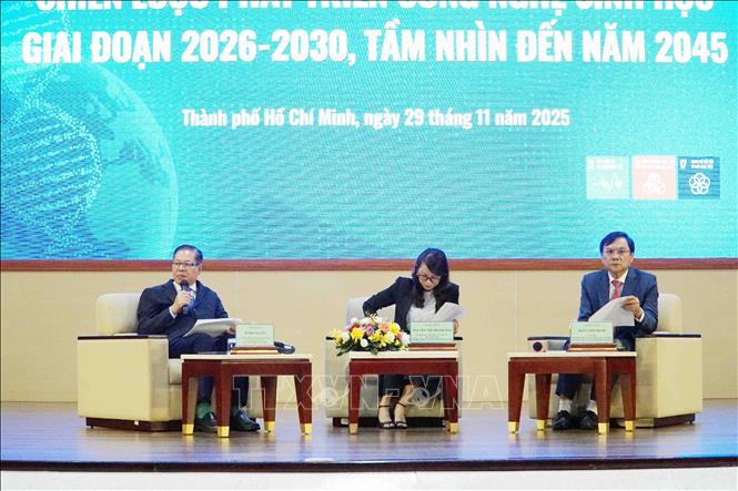 Các chuyên gia chia sẻ tại hội thảo. Ảnh: Thu Hoài - TTXVN 