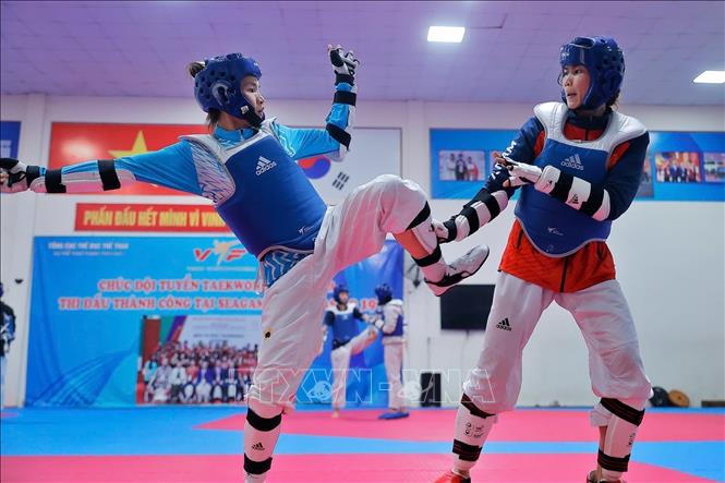 Vietnam's taekwondo artists practice in preparation for SEA Games 33. VNA Photo