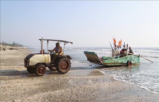 A tractor pulls a crab-fishing raft ashore after it returns from sea. Photo: Xuan Tien – VNA