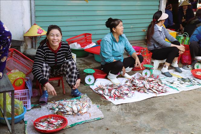Crabs caught from bamboo rafts are widely sold by traders at local markets in coastal communes. Photo: Xuan Tien - VNA 