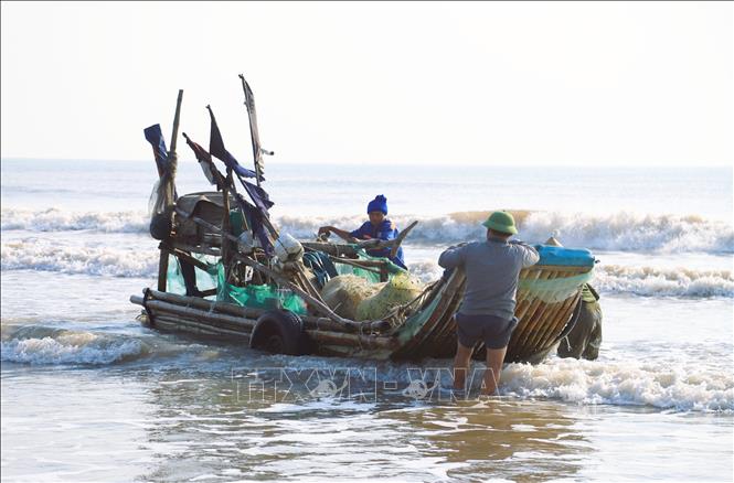 As the rafts reach shore, fishermen reposition them onto a roller system before using a tractor to pull them ashore. Photo: Xuan Tien – VNA 