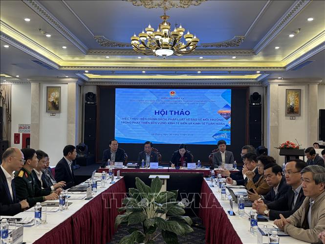 Quang cảnh hội thảo. Ảnh:Thắng Trung - TTXVN