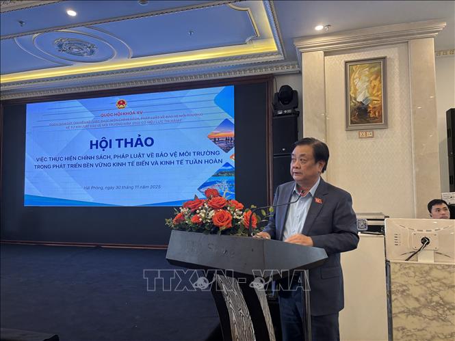 Phó Chủ tịch Quốc hội Lê Minh Hoan phát biểu chỉ đạo hội thảo. Ảnh: Thắng Trung - TTXVN