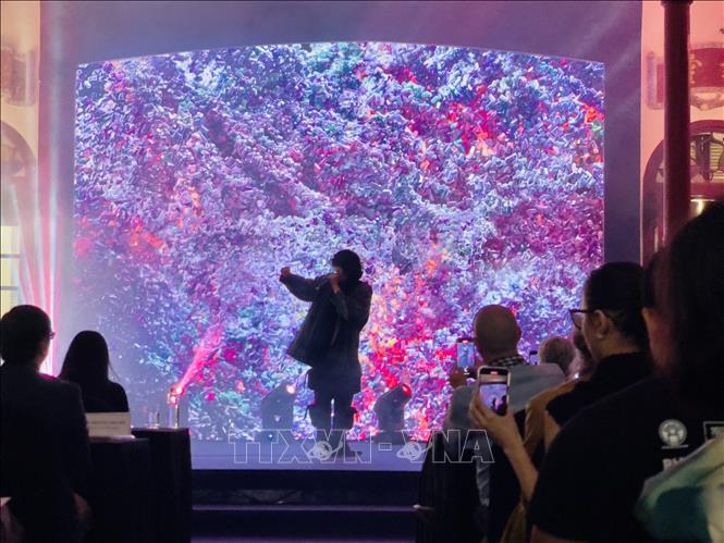 Biểu diễn Beatbox bởi Trung Bảo Fustic tại Lễ bế mạc. Ảnh: Tuyết Mai - TTXVN 