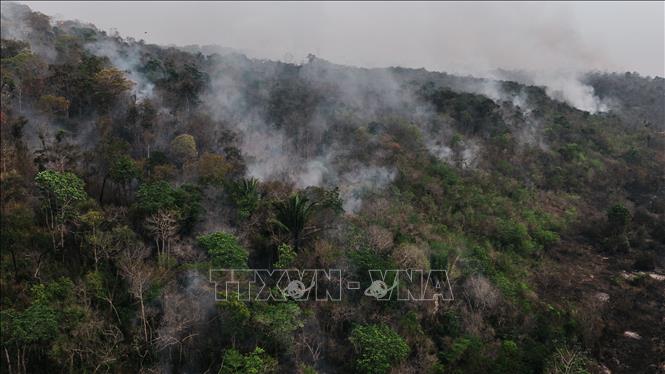 Khói bốc lên từ đám cháy rừng Amazon ở bang Rondonia, Brazil. Ảnh: THX/TTXVN