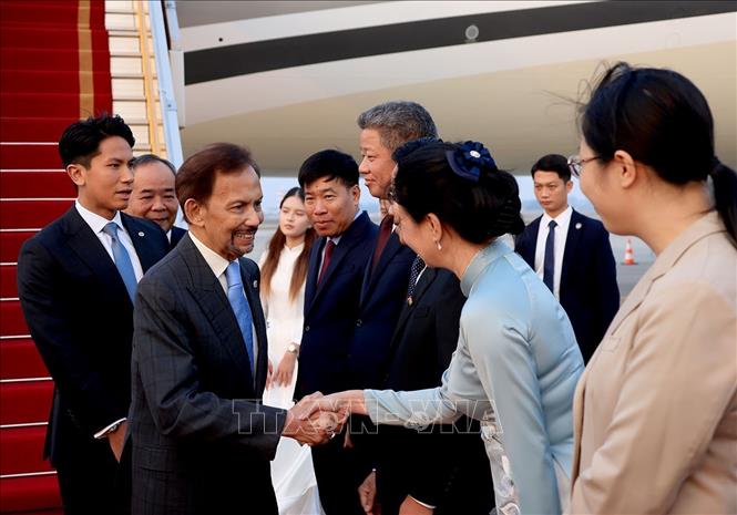 Lễ đón Quốc vương Brunei Darussalam Haji Hassanal Bolkiah tại sân bay quốc tế Nội Bài. Ảnh: Tuấn Anh - TTXVN