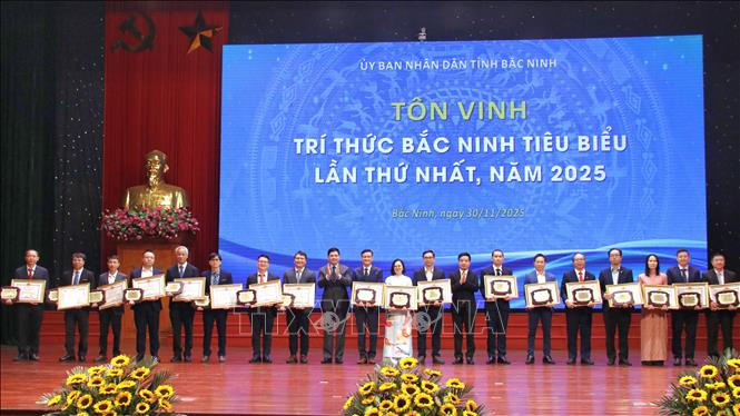 Bí thư Tỉnh ủy Bắc Ninh Nguyễn Hồng Thái trao Bằng khen của Chủ tịch UBND tỉnh Bắc Ninh cho các trí thức Bắc Ninh tiêu biểu. Ảnh: Việt Hùng - TTXVN