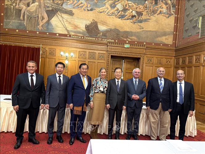 Đại sứ Việt Nam tại Hungary Bùi Lê Thái chụp ảnh cùng các đại biểu tại Diễn đàn Chính trị Á – Âu lần thứ 6 tại Hungary. Ảnh: TTXVN phát