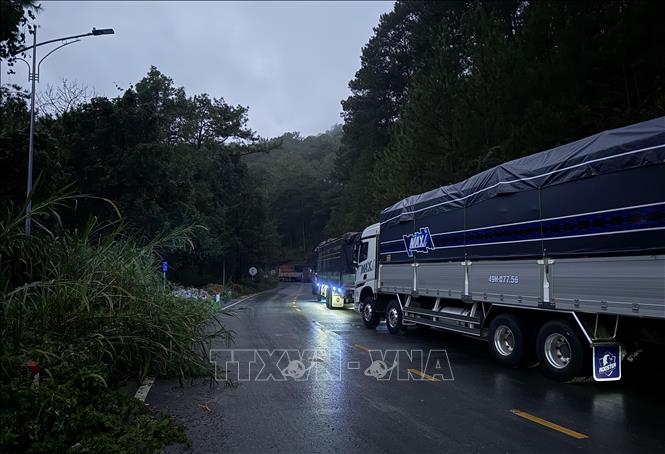 Các phương tiện chờ đến giờ thông tuyến qua đoạn đường thay thế cho vị trí sạt lở trên đèo Mimosa Đà Lạt, tối 30/11. Ảnh: Nguyễn Dũng – TTXVN