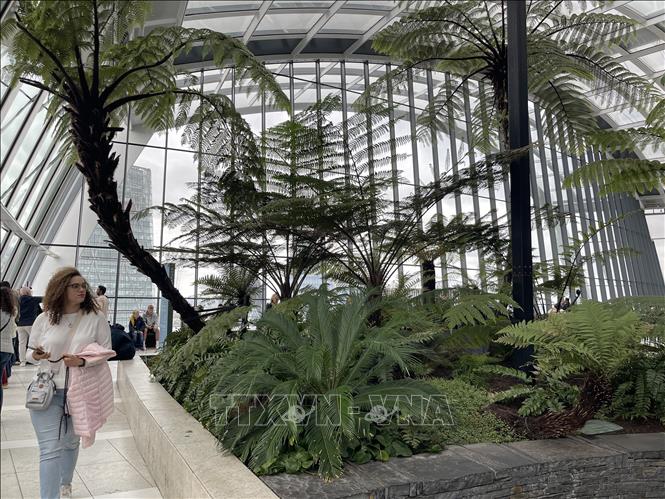 Kiến trúc vòm kính độc đáo của khu vườn giúp du khách dễ dàng khám phá toàn cảnh London từ trên cao. Ảnh: Minh Hợp-Pv TTXVN tại Anh