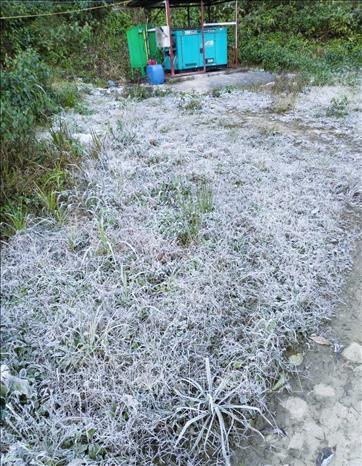 Nhiệt độ giảm sâu xuống dưới 0°C khiến băng giá phủ trắng khu vực Trạm Kiểm soát Biên phòng Buộc Mú (Đồn Biên phòng Na Ngoi, Nghệ An). Ảnh: TTXVN phát 