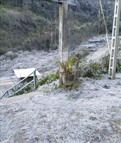 Băng giá xuất hiện dày đặc, phủ trắng trên cây cối, thảm cỏ với diện tích rộng lớn trên địa bàn xã biên giới Na Ngoi, tỉnh Nghệ An. Ảnh: TTXVN phát 