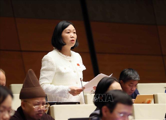 Đại biểu Quôc hội tỉnh Lào Cai Nguyễn Thị Lan Anh phát biểu. Ảnh: An Đăng - TTXVN