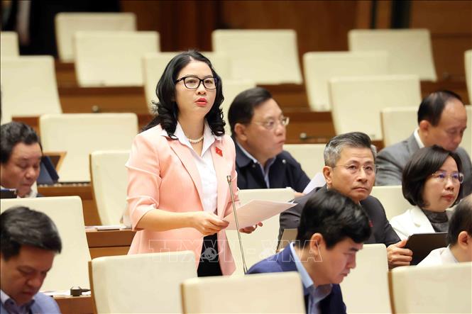 Đại biểu Quốc hội thành phố Hà Nội Nguyễn Thị Lan phát biểu. Ảnh: An Đăng - TTXVN