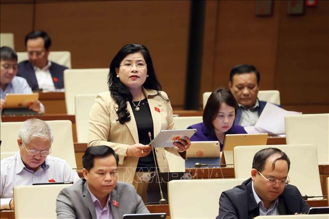 Đại biểu Quốc hội tỉnh Khánh Hòa Đàng Thị Mỹ Hương phát biểu. Ảnh: An Đăng - TTXVN