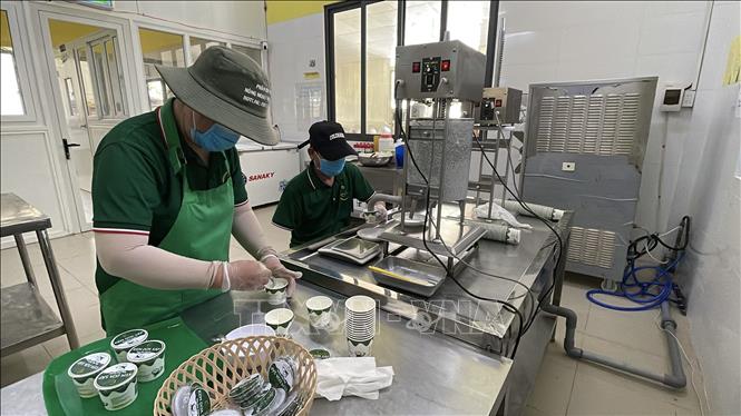 Sản xuất kem dừa sáp tại Công ty TNHH MTV Phát Đặng (xã Song Lộc, tỉnh Vĩnh Long). Ảnh: Thanh Hòa - TTXVN