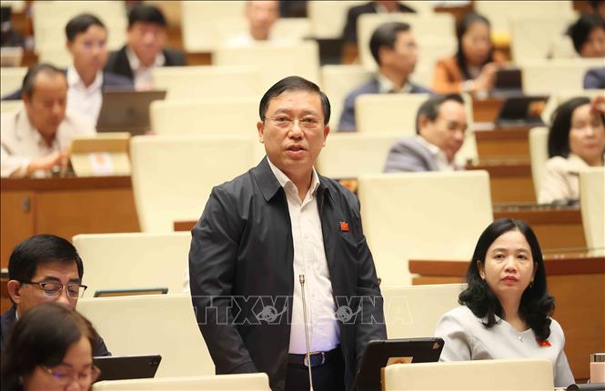 Đại biểu Quốc hội tỉnh Đồng Nai Nguyễn Tuấn Anh phát biểu. Ảnh: An Đăng - TTXVN