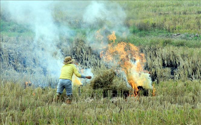 Người dân đốt rơm rạ gây ô nhiễm môi trường tại xã Nam Ninh, tỉnh Ninh Bình. Ảnh: Thái Thuần – TTXVN