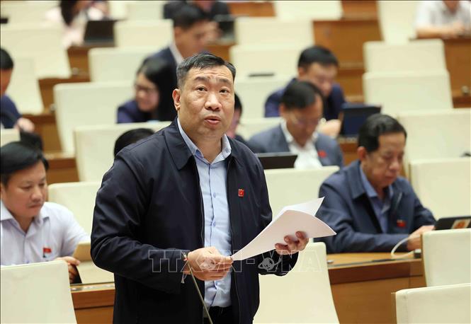 Đại biểu Quốc hội tỉnh Vĩnh Long Thạch Phước Bình phát biểu. Ảnh: An Đăng - TTXVN