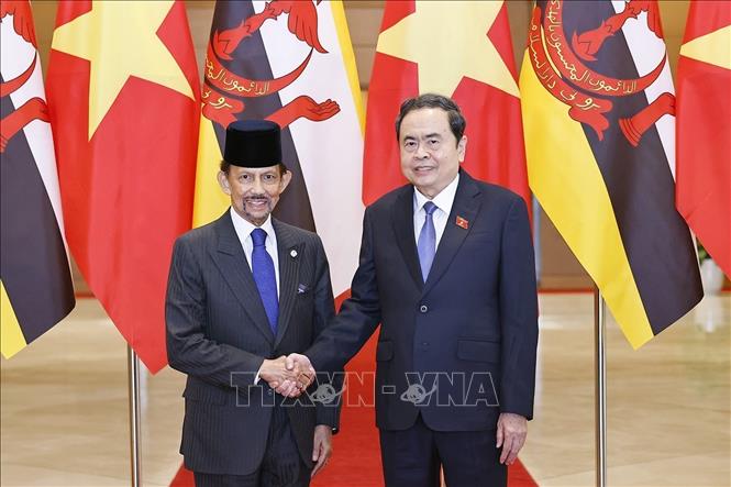 Chairman of the National Assembly Tran Thanh Man welcomes Sultan of Brunei Haji Hassanal Bolkiah. VNA Photo: Doãn Tấn
