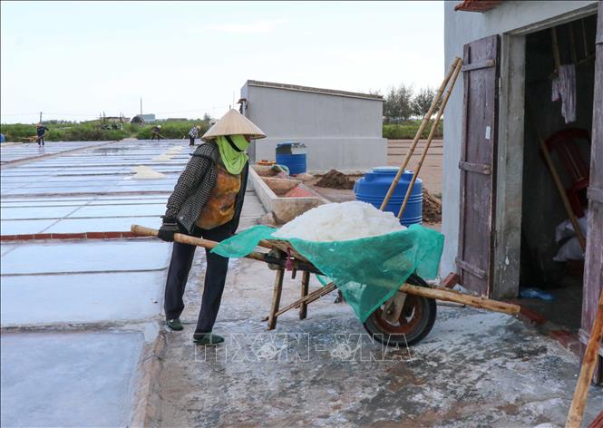 Đẩy xe muối vào trong kho tập kết để chờ xuất bán cho thương lái. Ảnh: Công Luật - TTXVN