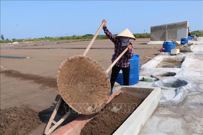Người dân xã Giao Bình, tỉnh Ninh Bình đổ cát vào ô lọc.  Ảnh: Công Luật - TTXVN
