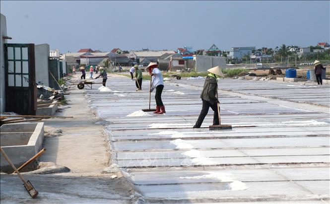 Xã Giao Bình có khoảng 230ha diện tích đất muối, nhưng nay đang sản xuất chỉ khoảng 57ha. Ảnh: Công Luật - TTXVN