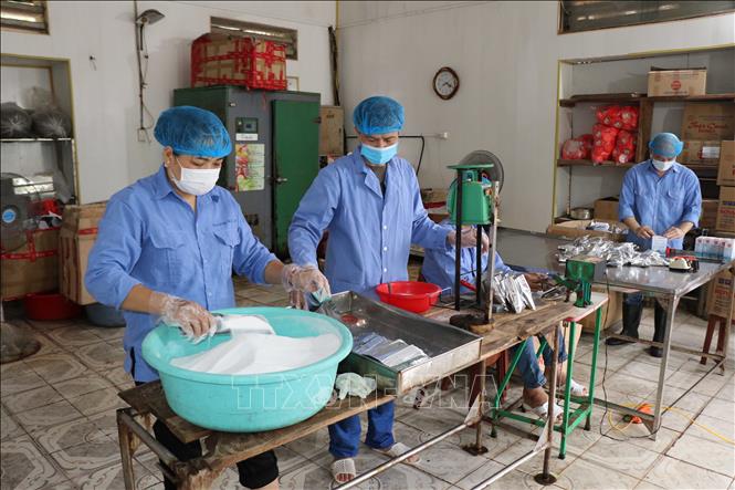  Chế biến các sản phẩm từ muối tại Công ty Cổ phần Muối và Thương mại Nam Định. Ảnh: Công Luật - TTXVN