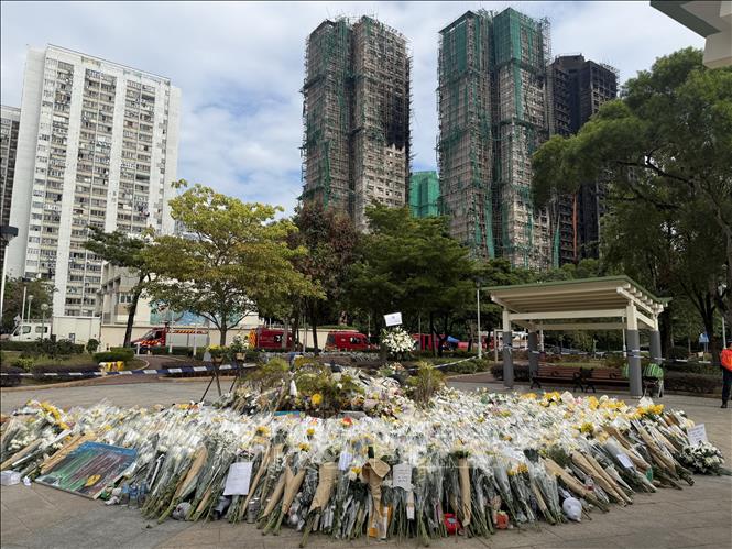Hàng nghìn bông hoa được người dân mang đến gần hiện trường vụ cháy để bày tỏ niềm thương tiếc với các nạn nhân. Ảnh: Mạc Luyện - PV TTXVN tại Hong Kong 
