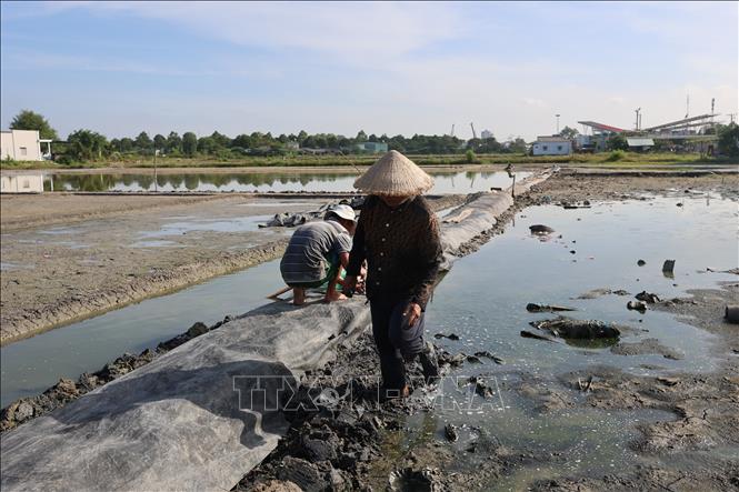 Ruộng muối của gia đình ông Nguyễn Minh Chánh, tại phường Bà Rịa, vẫn chưa thể trải bạt để sản xuất vụ muối mới. Ảnh: Hoàng Nhị - TTXVN