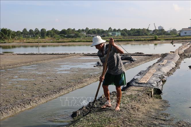 Ông Nguyễn Minh Chánh, diêm dân tại phường Bà Rịa bắt đầu ra đồng đắp bờ, căng bạt cho lối ra ruộng muối nhưng chưa thể bước vào vụ sản xuất do mưa trái mùa. Ảnh: Hoàng Nhị - TTXVN