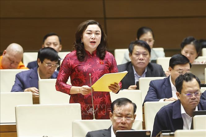 Đại biểu Quốc hội tỉnh Phú Thọ Đặng Bích Ngọc phát biểu. Ảnh: Doãn Tấn - TTXVN