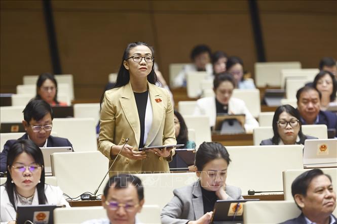 Đại biểu Quốc hội tỉnh Lâm Đồng Trịnh Thị Tú Anh phát biểu. Ảnh: Doãn Tấn - TTXVN