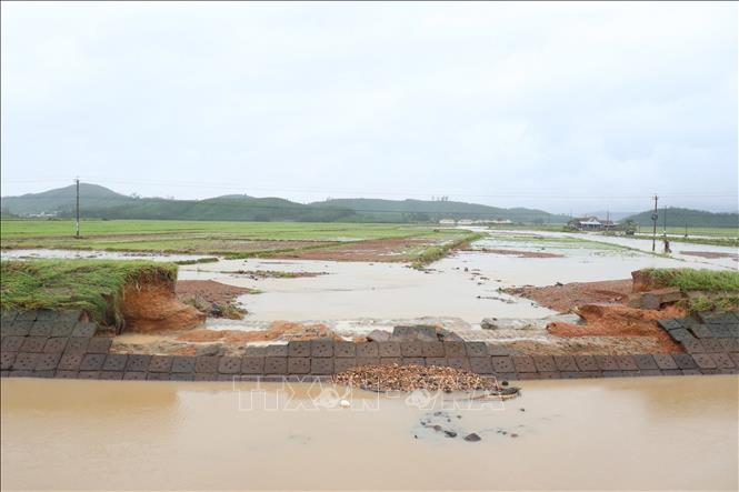 Để sớm khôi phục sản xuất cho người dân cần hoàn thành sửa chữa hệ thống kênh mương thủy lợi. Ảnh: Tuấn Anh - TTXVN