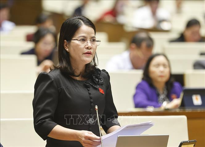 Đại biểu Quốc hội TP Hồ Chí Minh Nguyễn Hoàng Bảo Trân phát biểu. Ảnh: Doãn Tấn - TTXVN